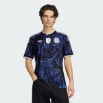2026 Argentina Away Stadium Jersey (Customizable)