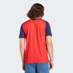 2026 Spain Home Fan Edition Jersey (Customizable)